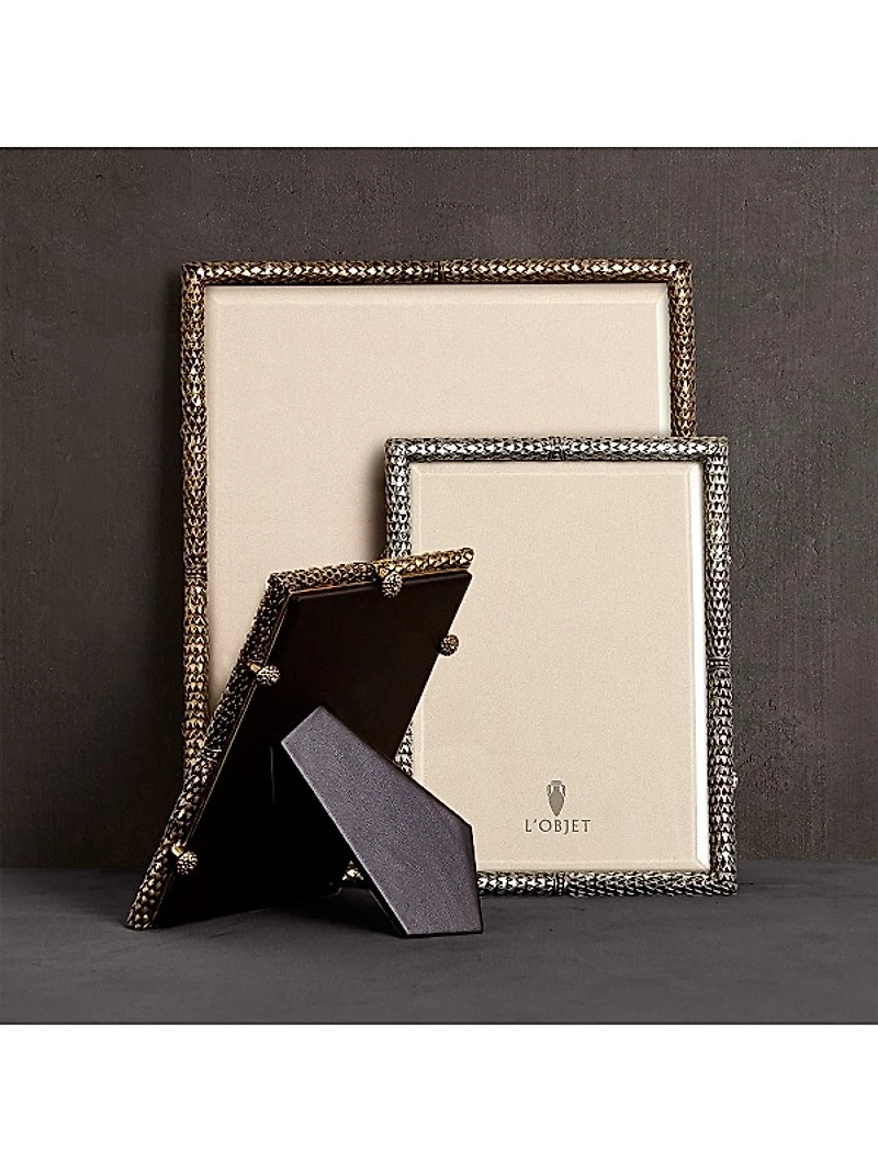 Scales Platinum Picture Frame
