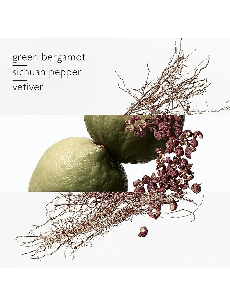 Terre D'Hermès Eau Intense Vetiver