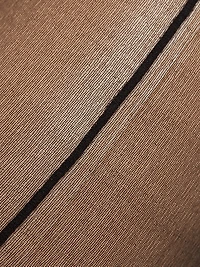 Individual 10 Back Seam Tights