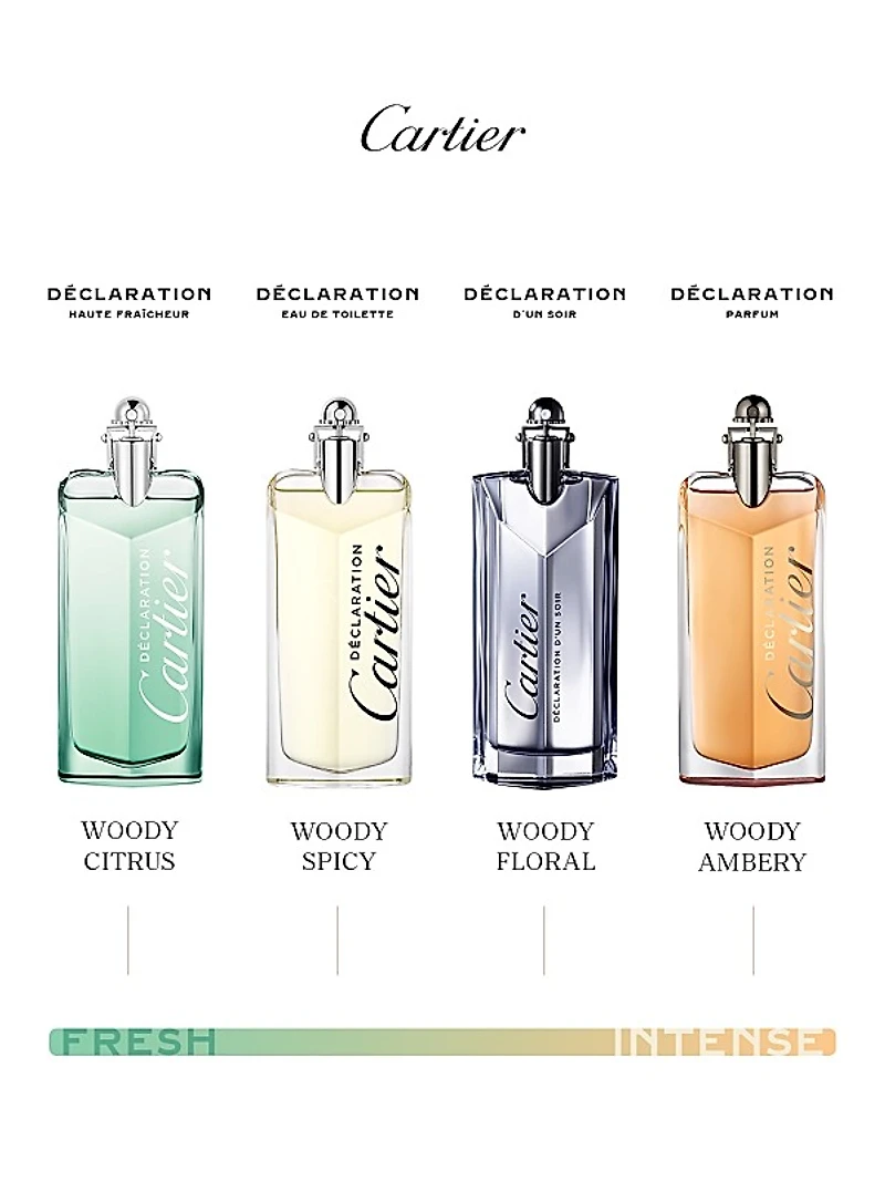 Déclaration Eau de Toilette