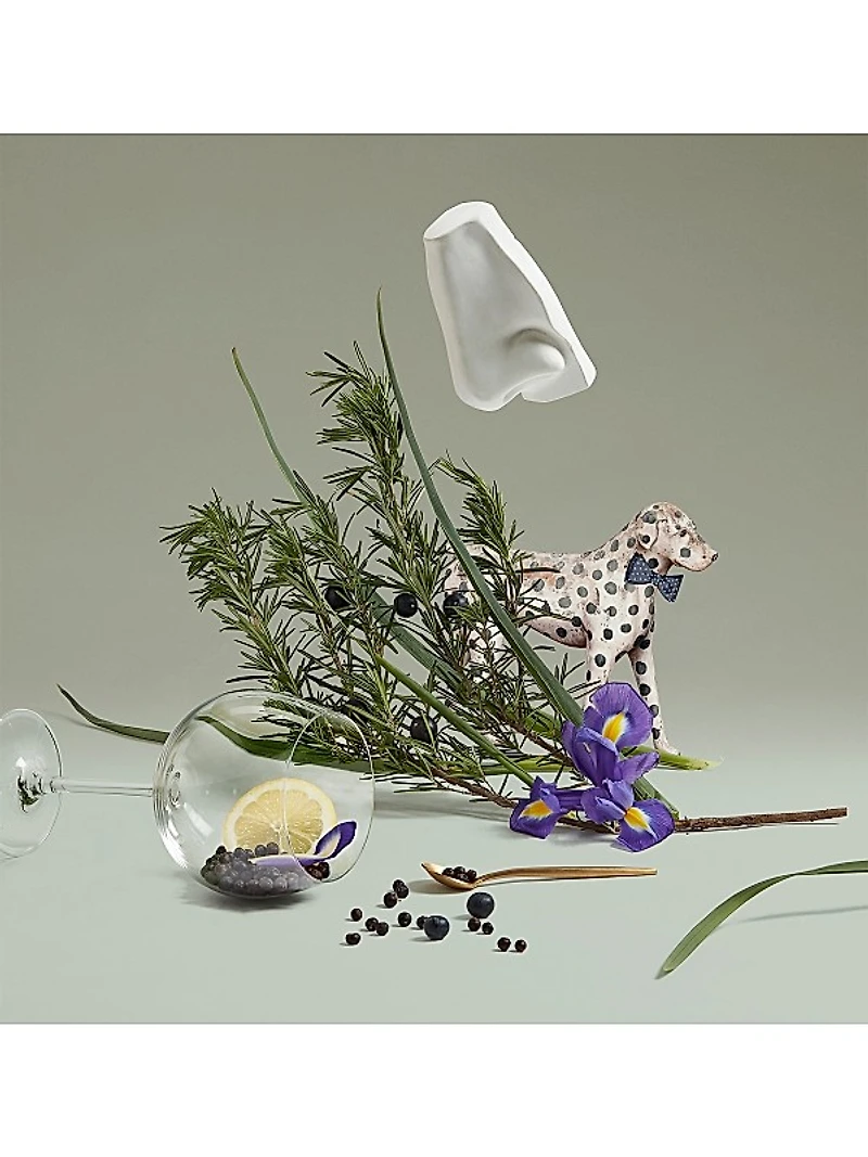 Juniper Sling Eau de Toilette Spray
