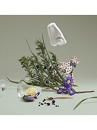 Juniper Sling Eau de Toilette Spray
