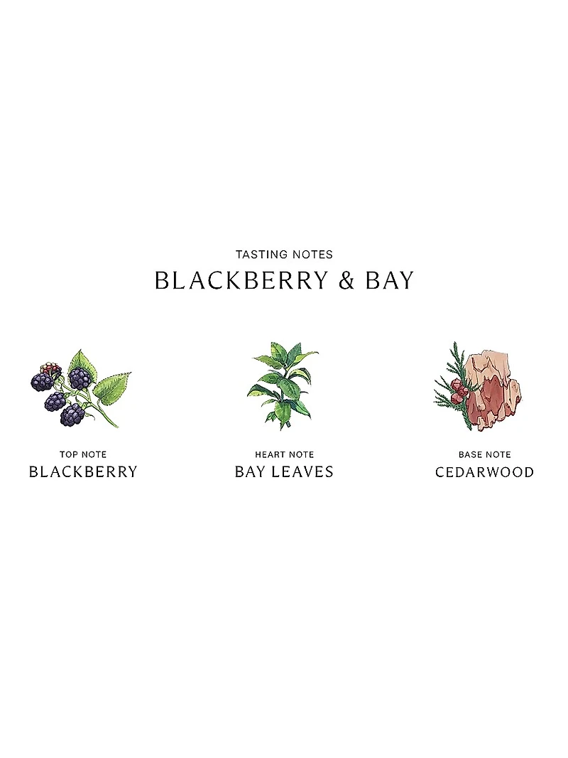 Blackberry & Bay Cologne