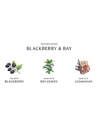 Blackberry & Bay Cologne