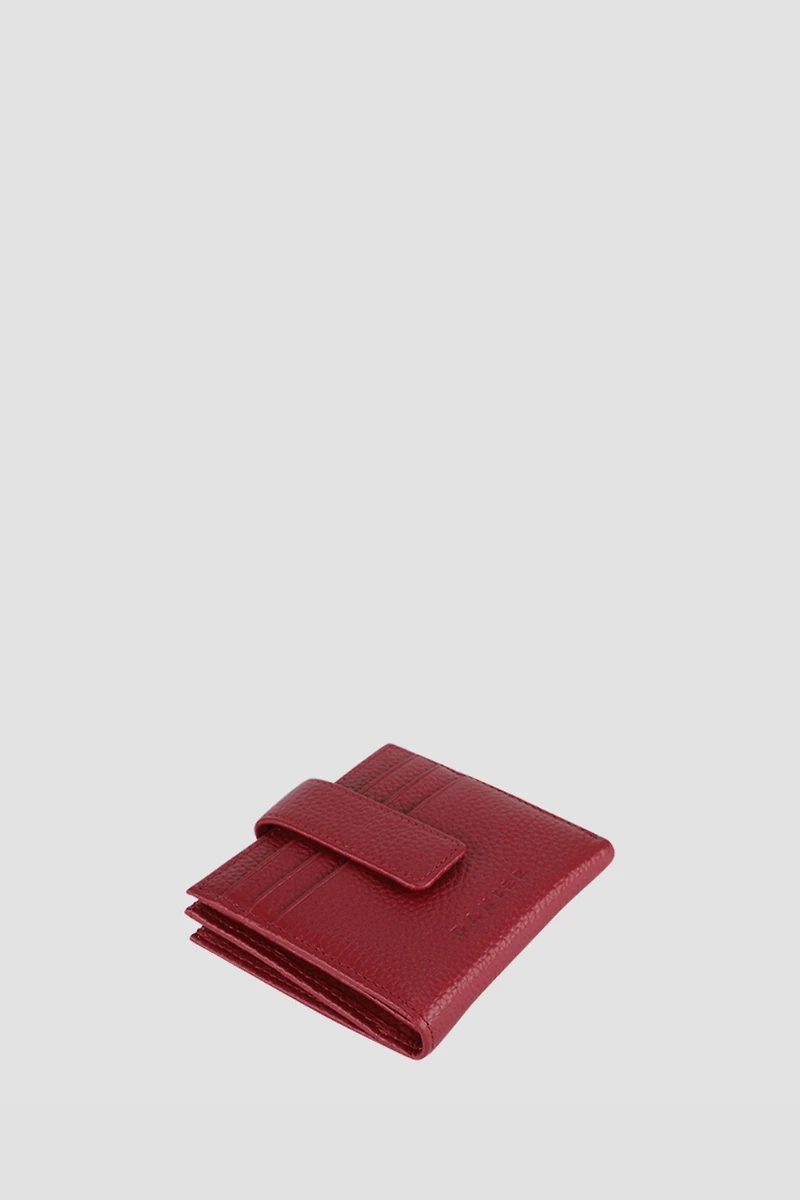 PORTE-CARTES LULA