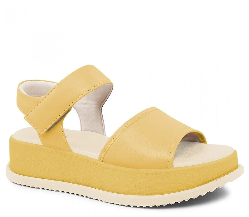 USAFLEX SONDRA PLATFORM