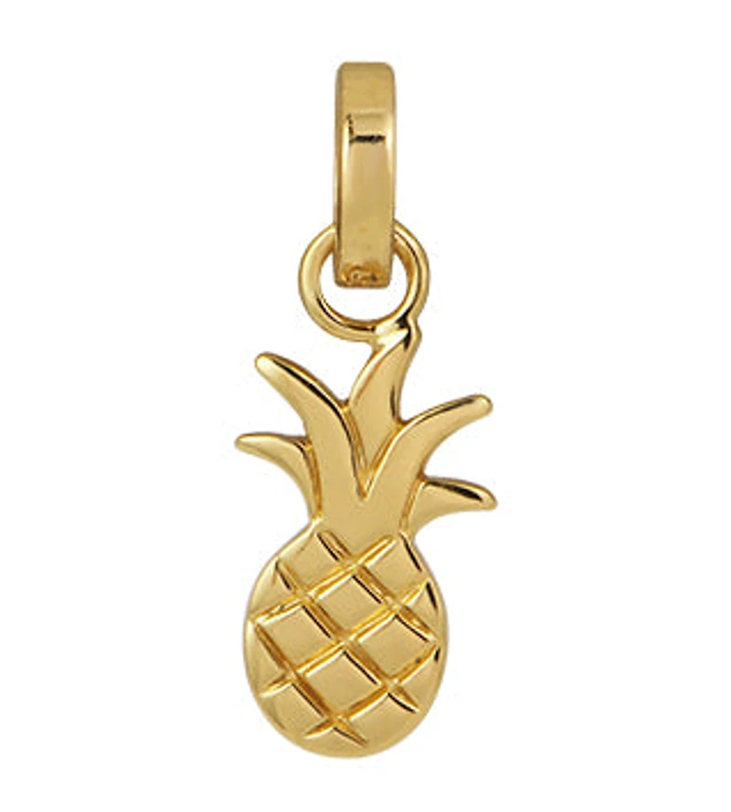 PINEAPPLE CHARM