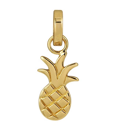 PINEAPPLE CHARM