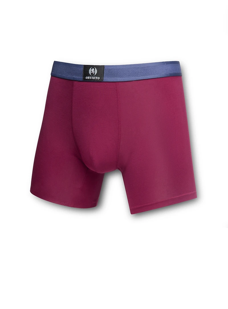 Sous-vêtement boxer en bambou