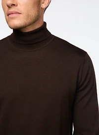 Merino Wool Turtleneck Sweater