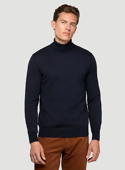 Solid Turtleneck Sweater