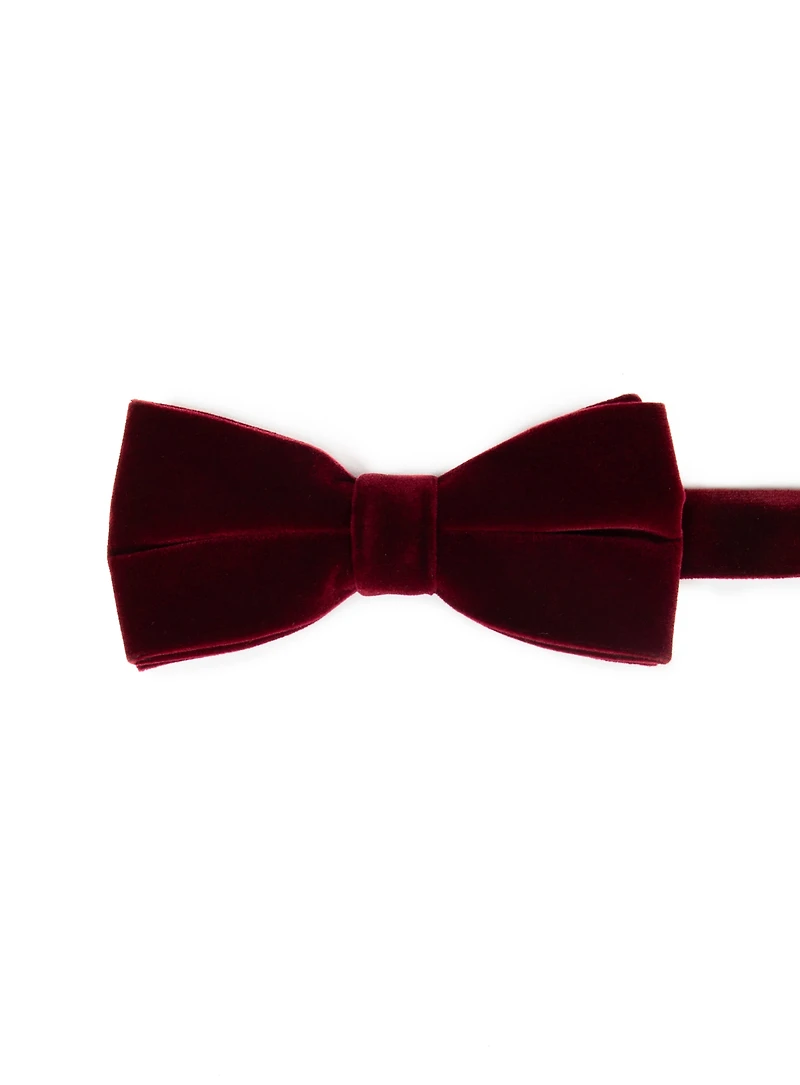 Noeud papillon en velours bourgogne