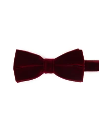 Noeud papillon en velours bourgogne