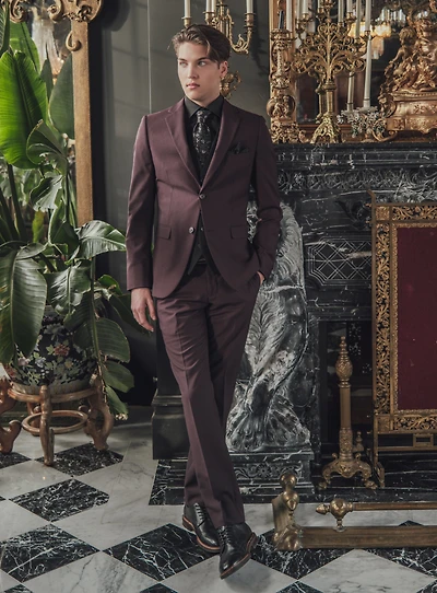 Pin Dots Burgundy Suit