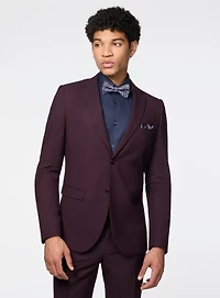 Pin Dots Burgundy Suit