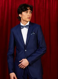 Royal Blue Jacquard Suit
