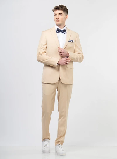 Solid Beige Suit