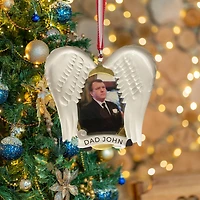 Angel Wing Frame Ornament