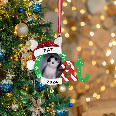 Cat Frame Ornament