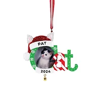 Cat Frame Ornament