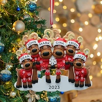 Mr & Mrs Reindeer Family of 6 Ornament