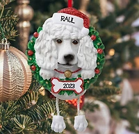 White Poodle (Pure Breed)