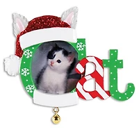 Cat Frame Ornament