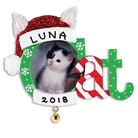 Cat Frame Ornament