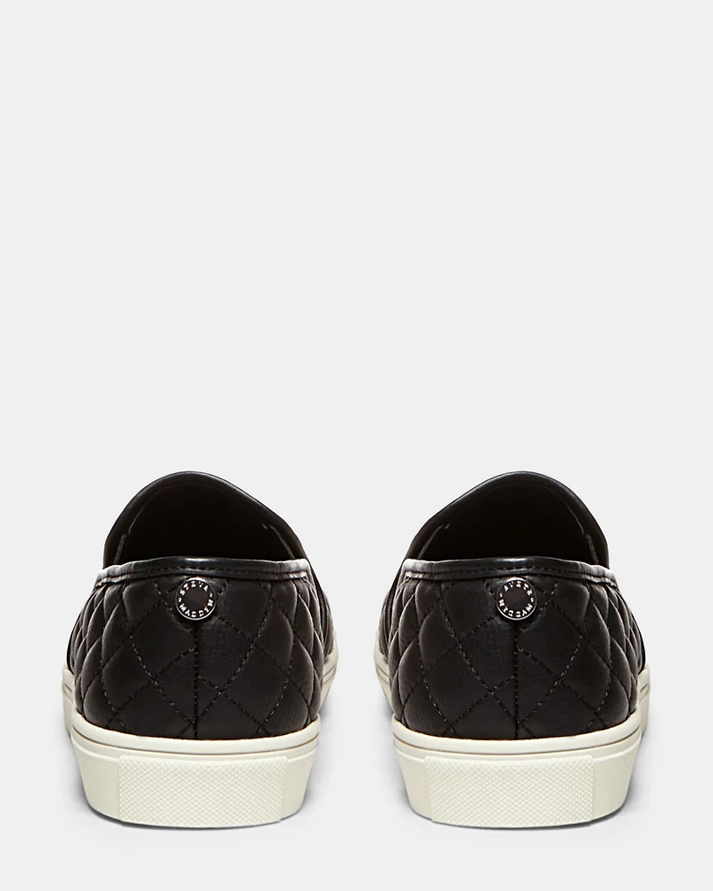 ECENTRIC-Q BLACK
