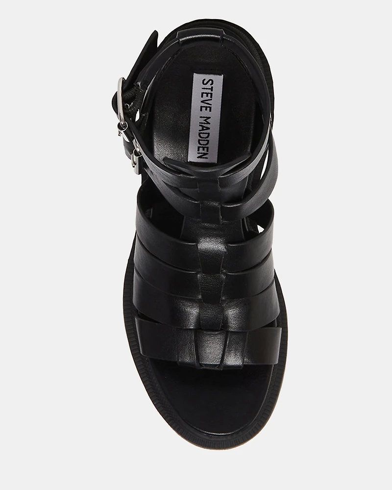 COSMIC BLACK