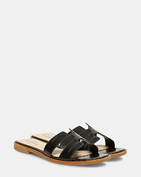 HADYN BLACK EXOTIC