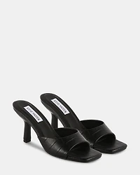 DANNA BLACK EXOTIC
