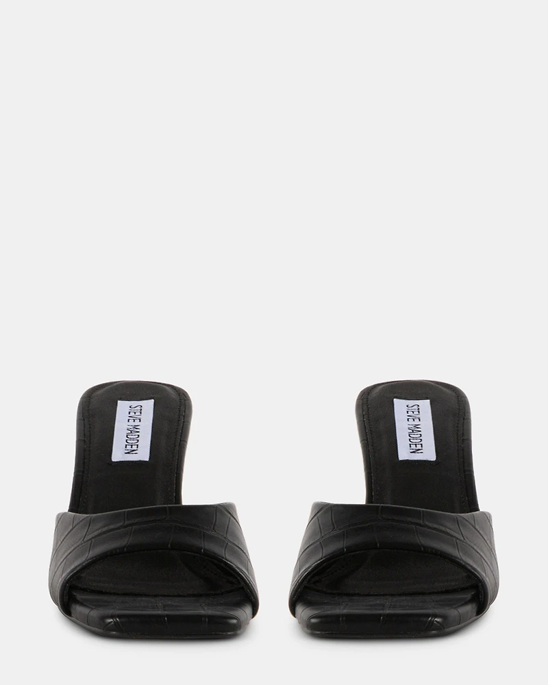 DANNA BLACK EXOTIC