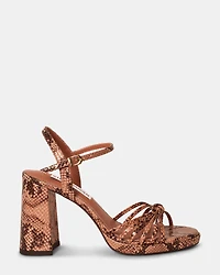 JUNGLE NATURAL EXOTIC