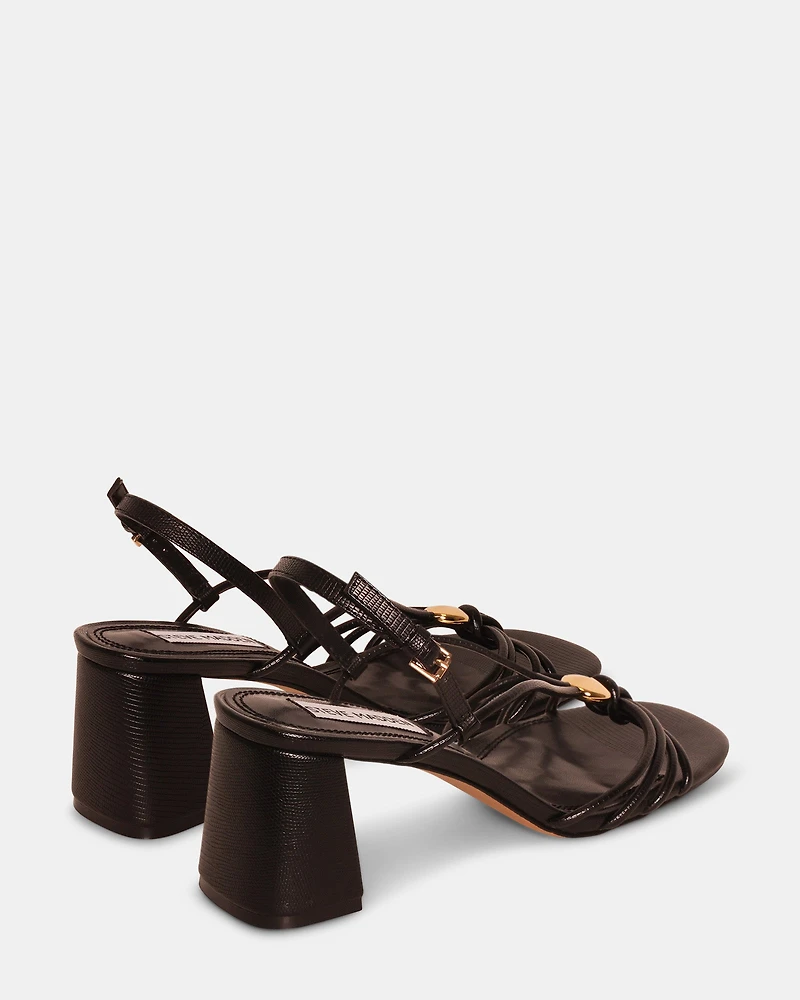 POWERFUL BLACK EXOTIC