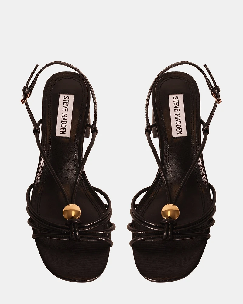 POWERFUL BLACK EXOTIC