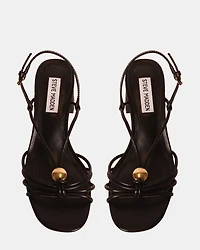 POWERFUL BLACK EXOTIC