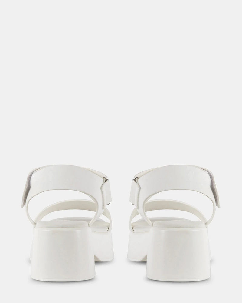 REACH WHITE
