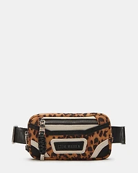 BMADRIDD LEOPARD