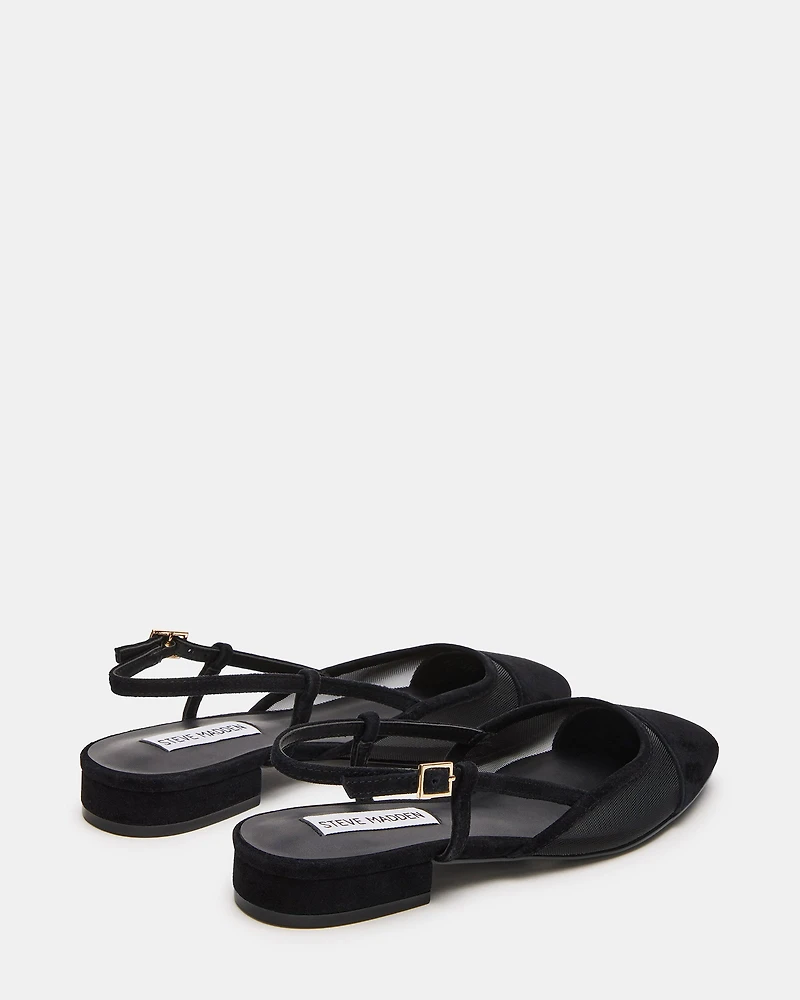 BELINDA-M BLACK SUEDE