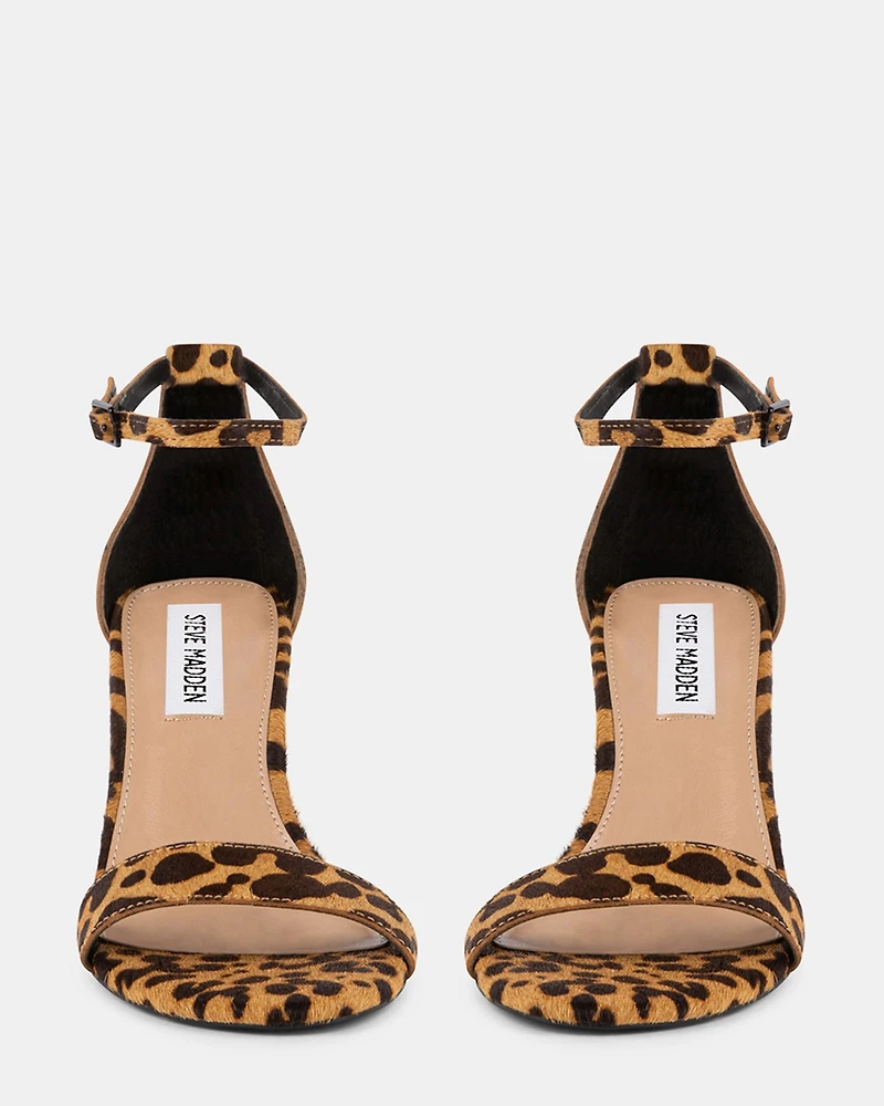 DYLANN-L LEOPARD