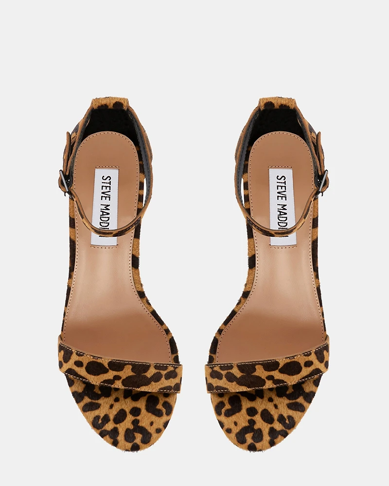 DYLANN-L LEOPARD