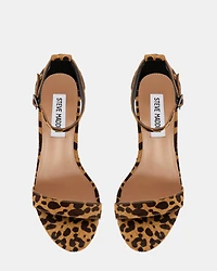 DYLANN-L LEOPARD
