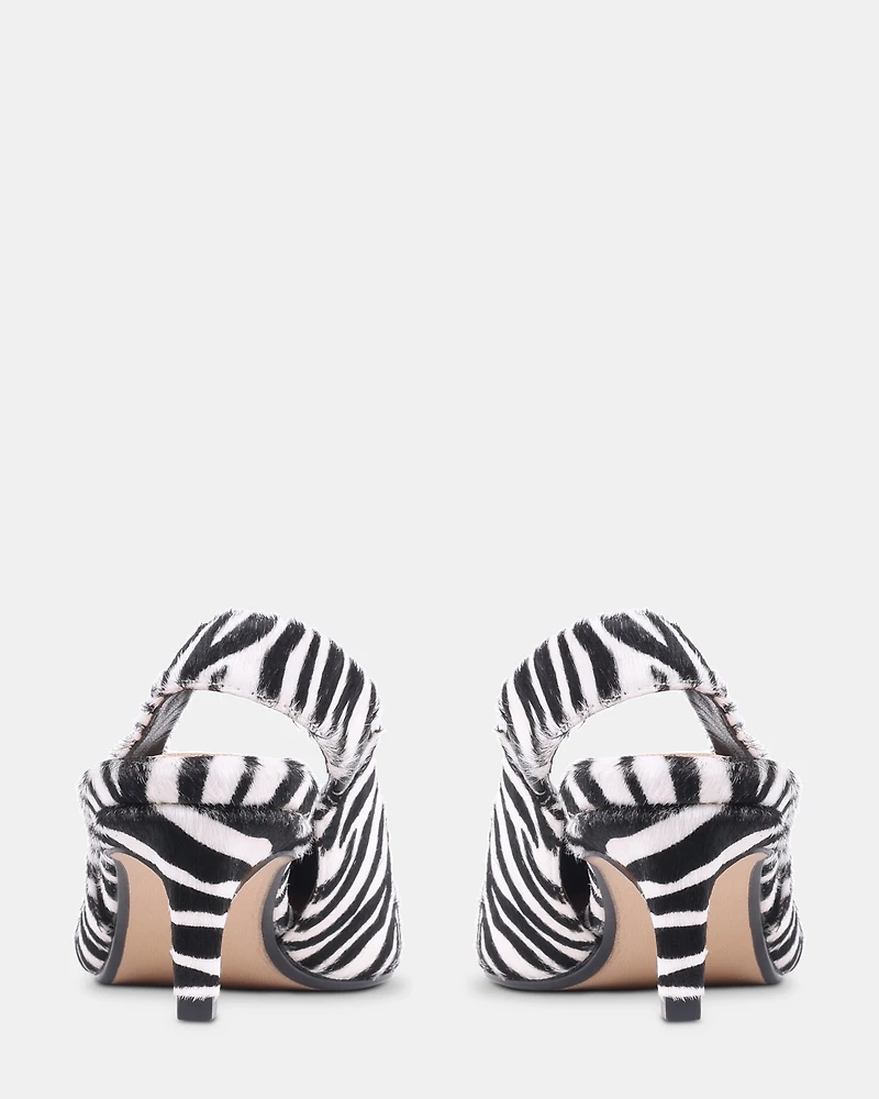 CARMEN ZEBRA