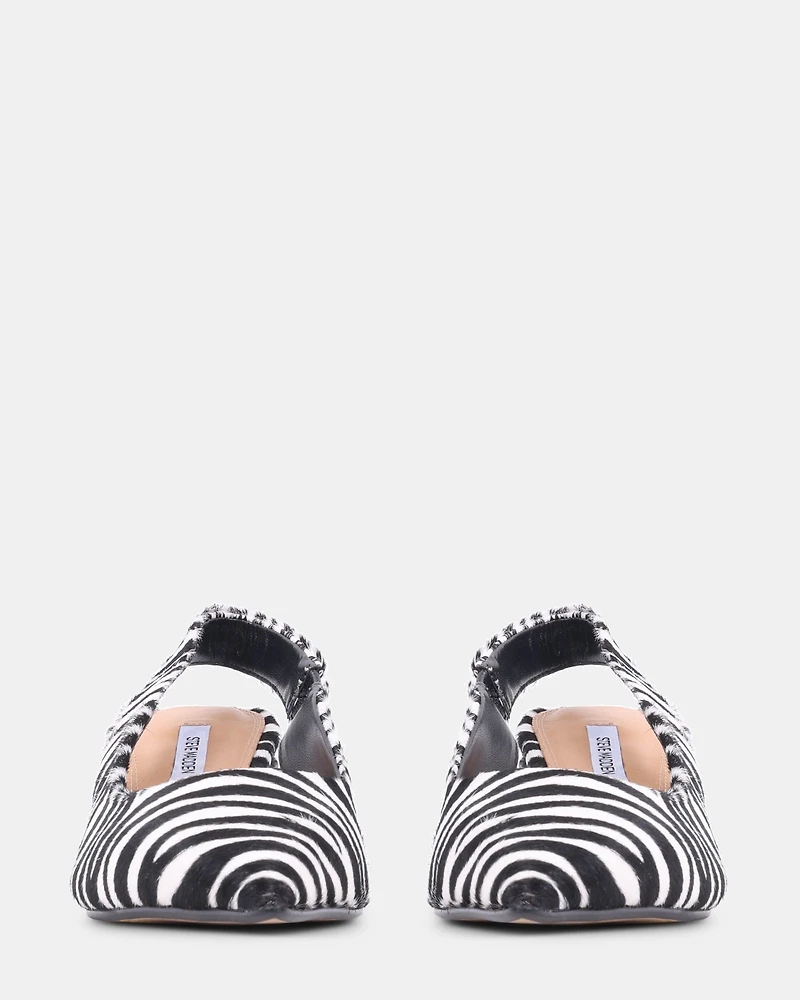 CARMEN ZEBRA