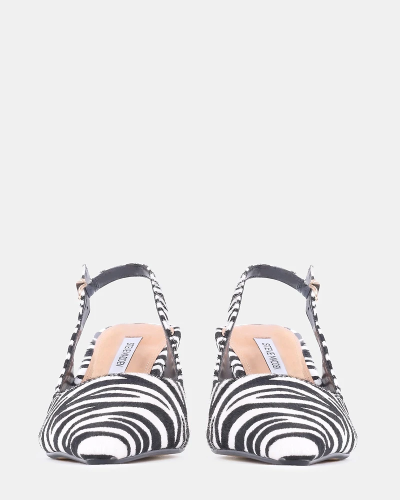 CHARMING ZEBRA