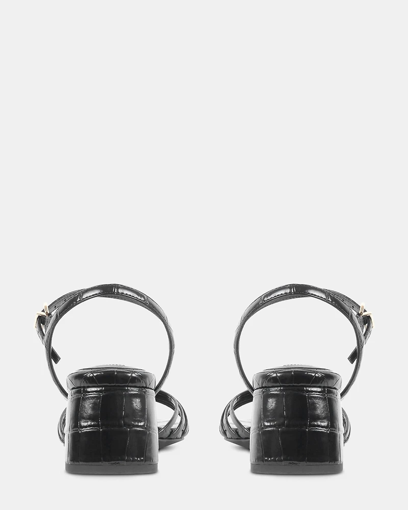 JOYOUS BLACK EXOTIC