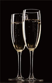 190ml Champagne Glass