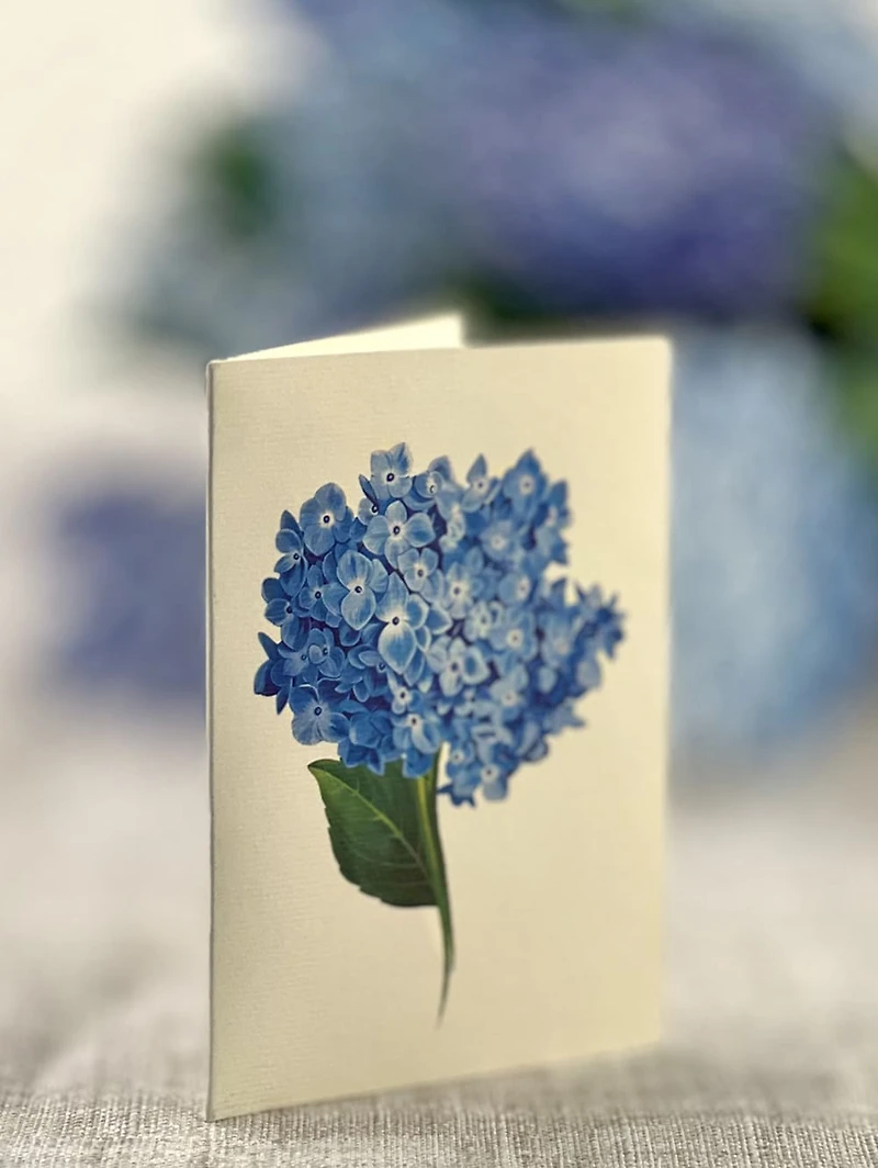 Nantucket Hydrangea Pop-Up Card - Large