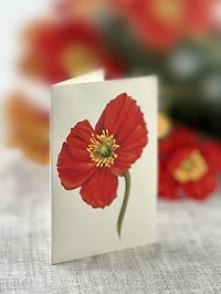 French Poppies Pop-Up Card - Large
